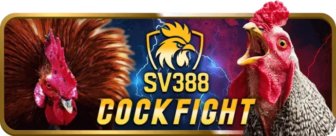 Cá cược có trách nhiệm ON88